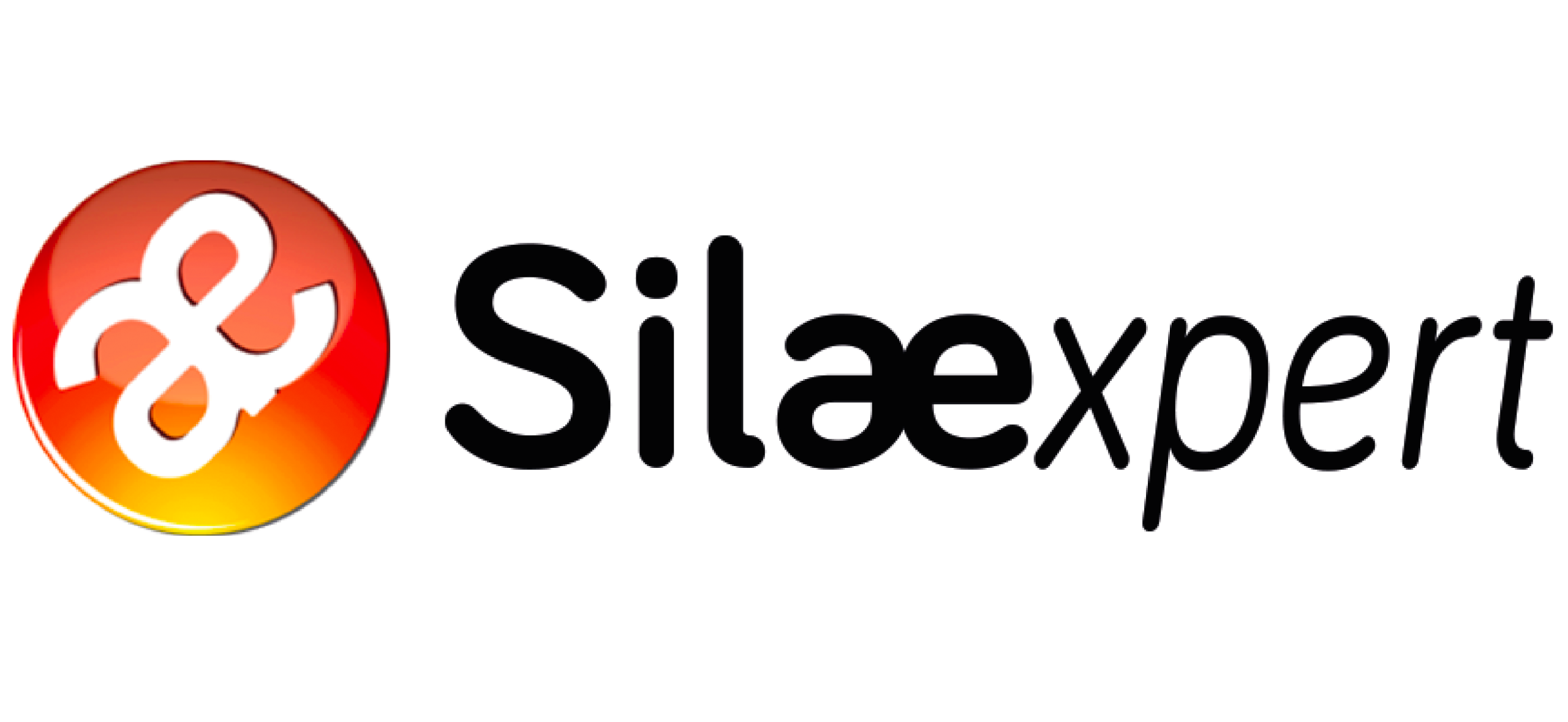logo-silae-expert